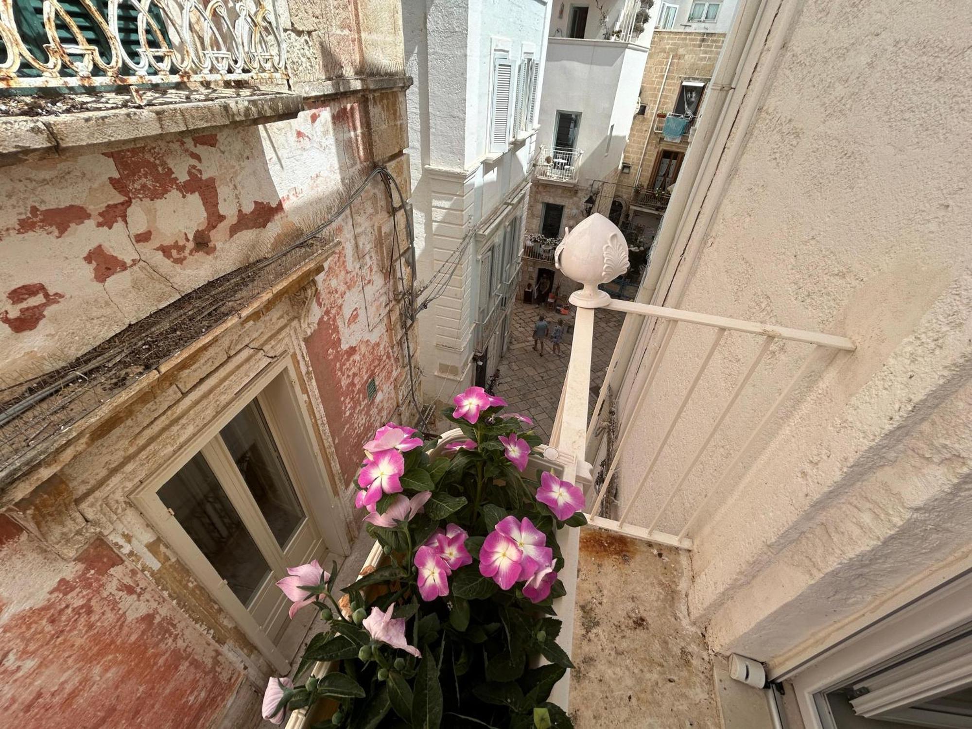 ポリニャーノ・ア・マーレ Trame - La Naca Sul Porto Bed & Breakfast エクステリア 写真